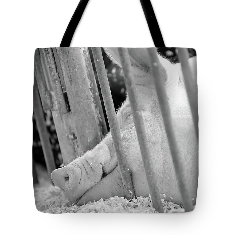 Farm Tote Bag featuring the photograph Long Day At The Fair bw by Lens Art Photography By Larry Trager