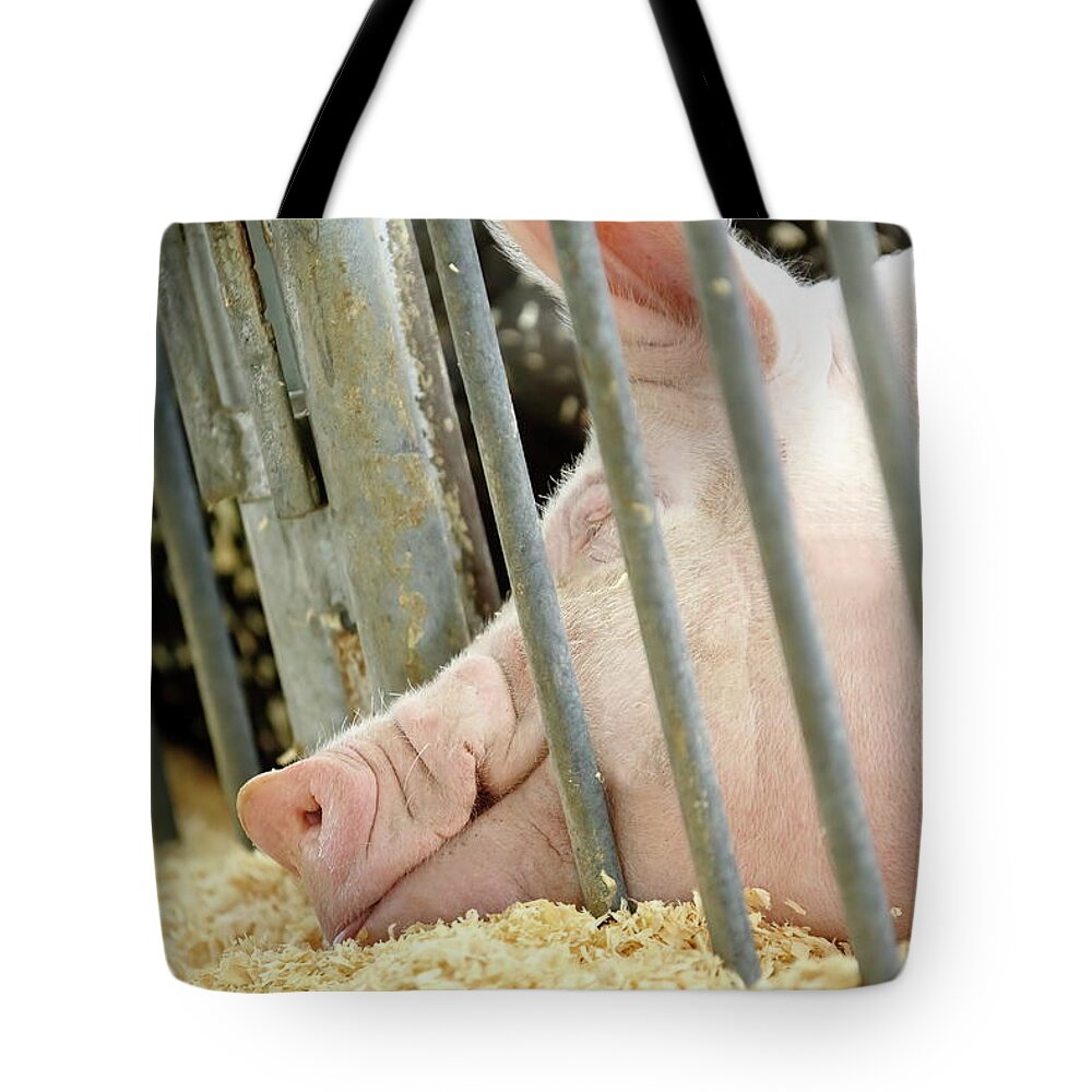 Farm Tote Bag featuring the photograph Long Day At The Fair by Lens Art Photography By Larry Trager
