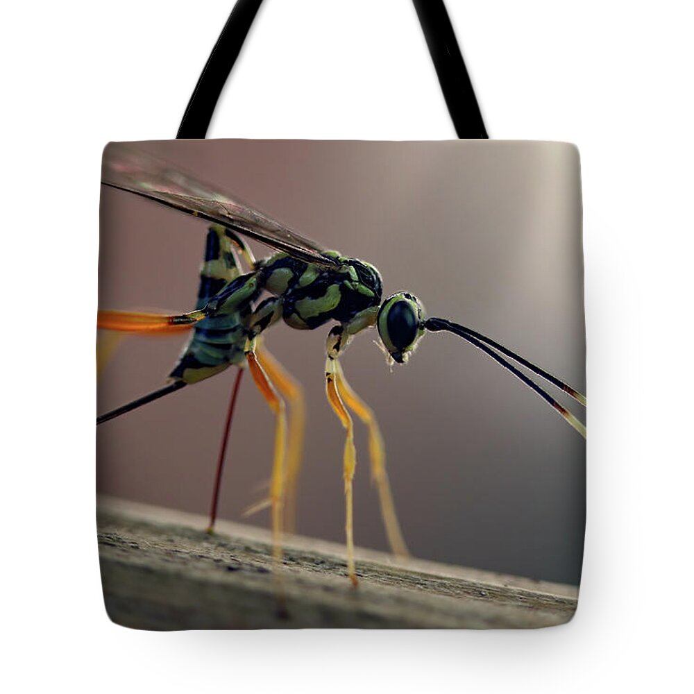 Insects Tote Bag featuring the photograph Long Legged Alien by Jennifer Robin