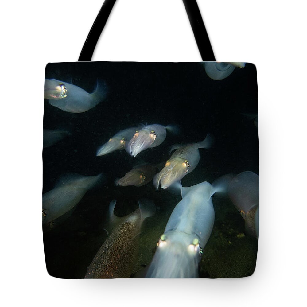 Squid Tote Bag featuring the photograph Longfin Squid in formation by Brian Weber