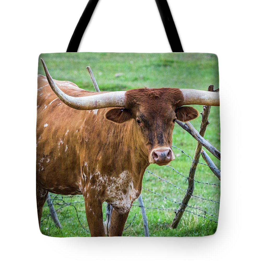 Longhorn Tote Bag featuring the photograph Longhorn #1 by Vincent Bonafede