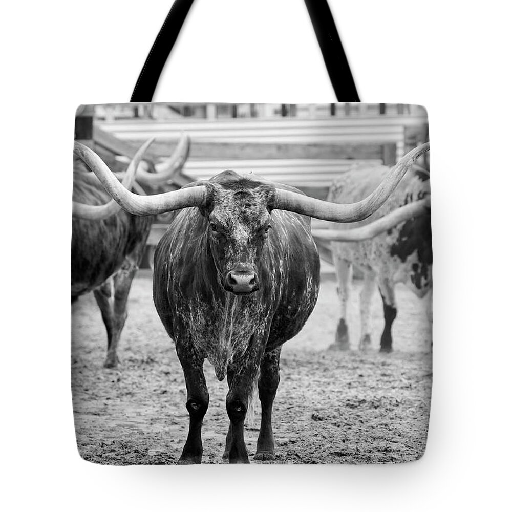 Texas Longhorn Tote Bag featuring the photograph Longhorn Leader by Jonathan Davison