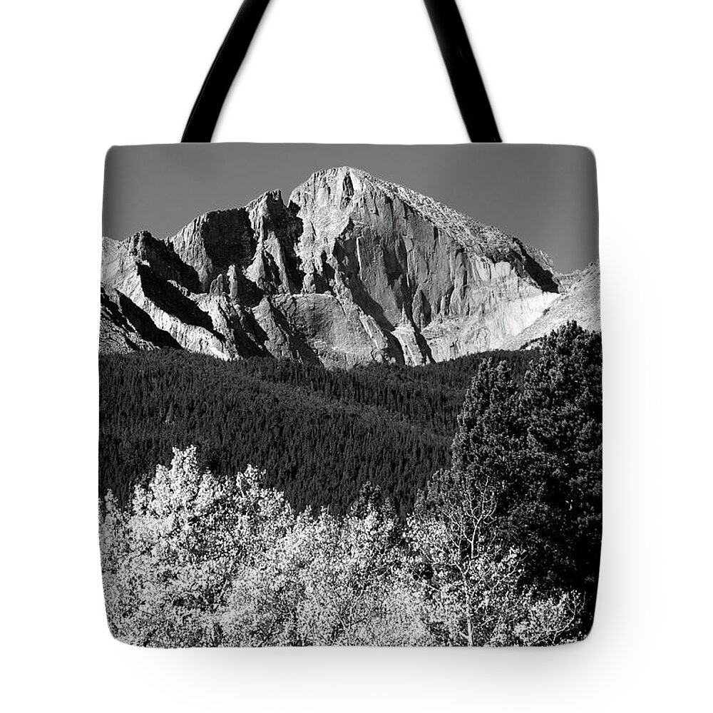 Mountains Tote Bag featuring the photograph Longs Peak Autumn Aspen Landscape View BW by James BO Insogna
