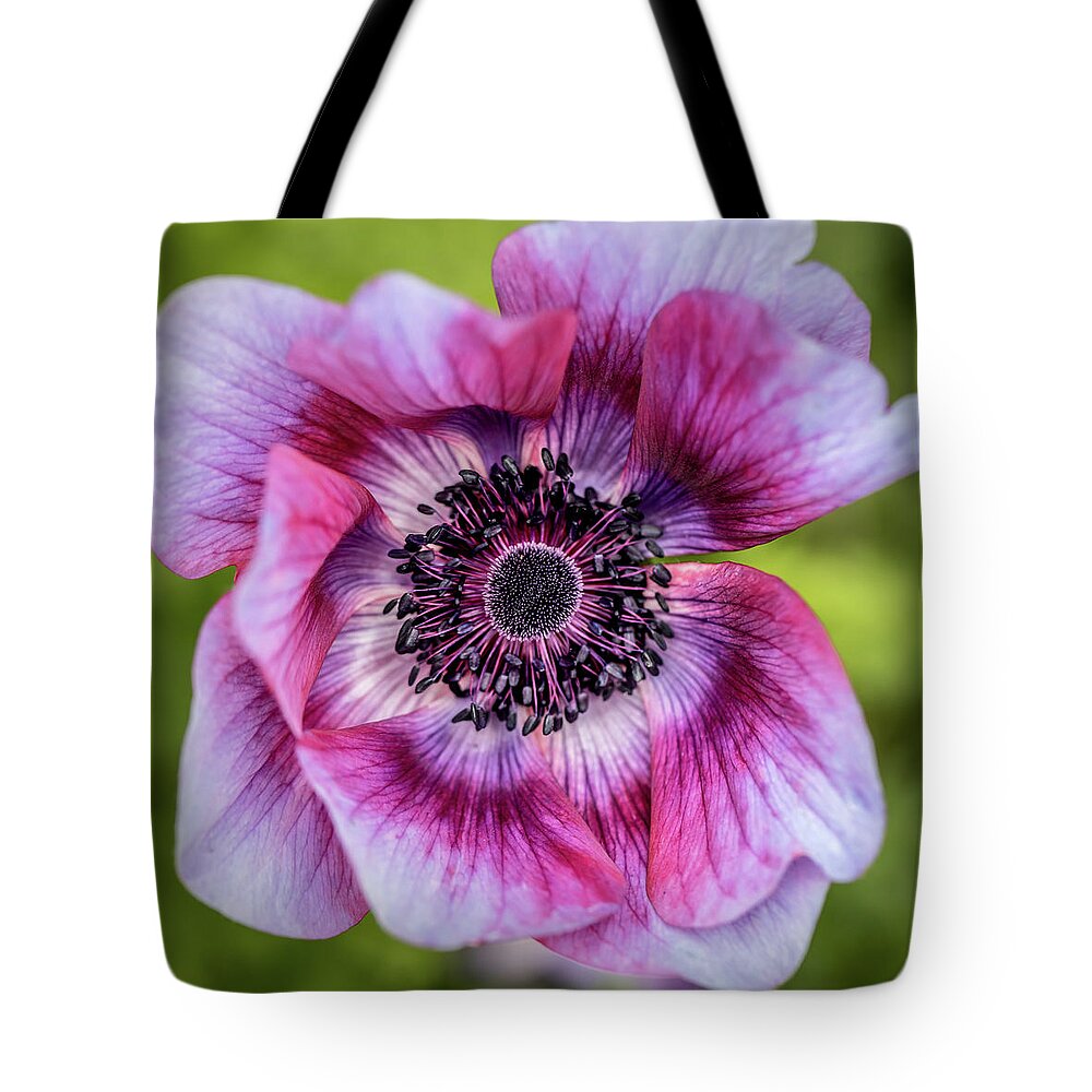 Poppy Tote Bag featuring the photograph Look Within by Kim Sowa