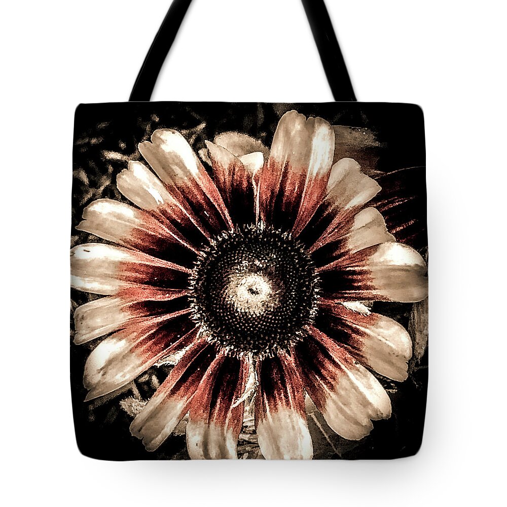 Tote Bag featuring the photograph Looking around-303 by Emilio Arostegui