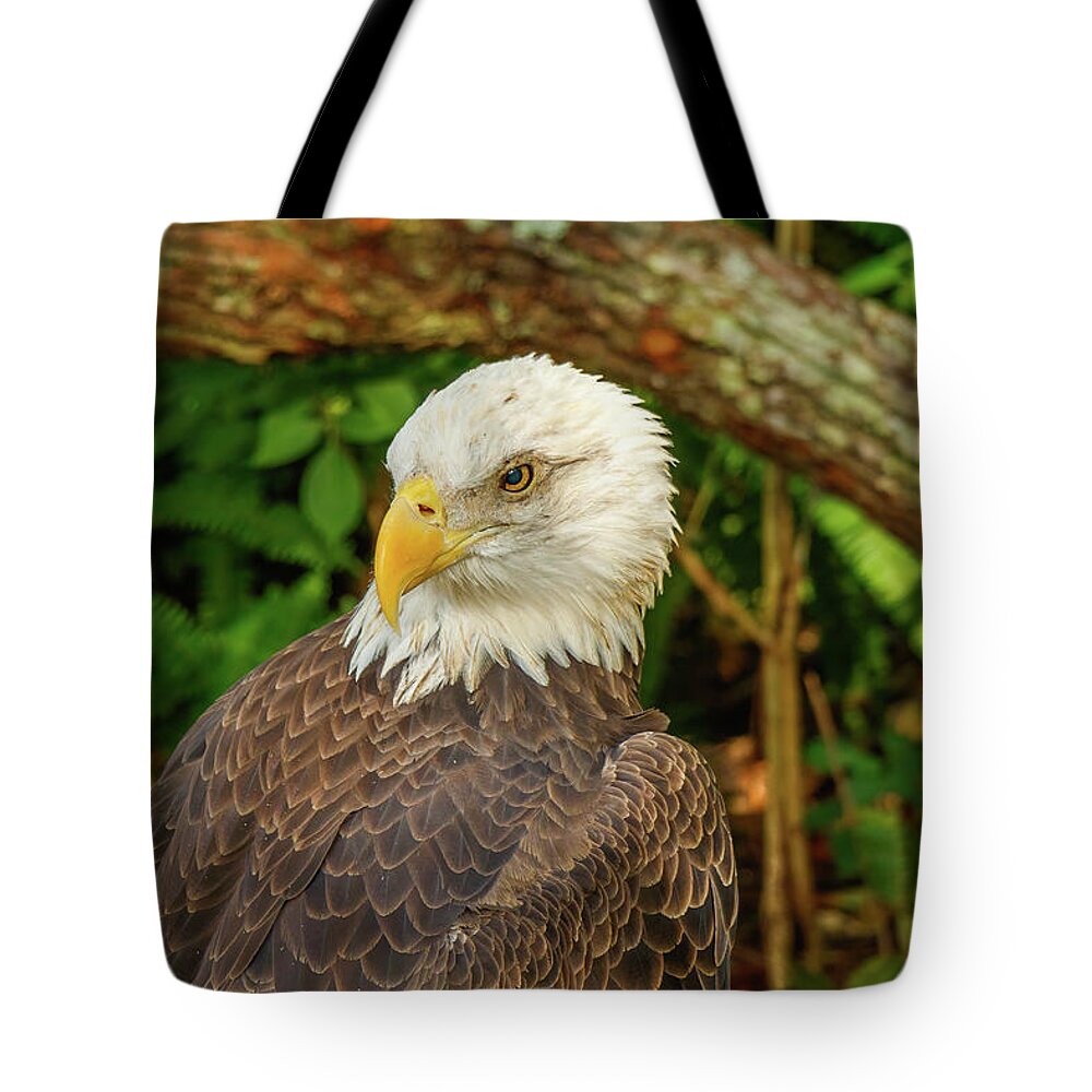 Eagle Tote Bag featuring the photograph Looking Back by Les Greenwood