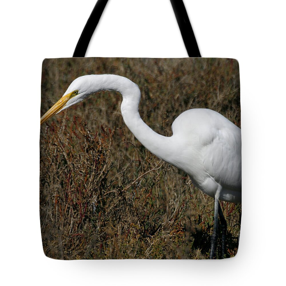 Great Egret Tote Bag featuring the photograph Looking for Lunch by fototaker Tony