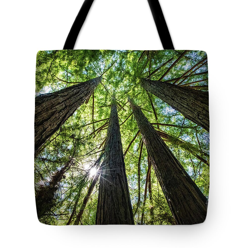 250 Feet Tall Tote Bag featuring the photograph Looking Straight Up by David Levin
