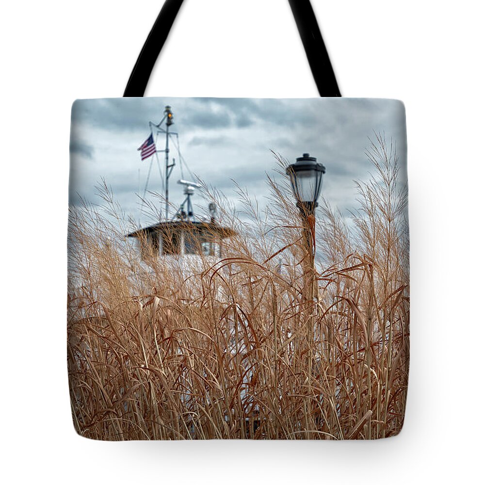 Grasses Tote Bag featuring the photograph Looking Through the Grasses by Cate Franklyn