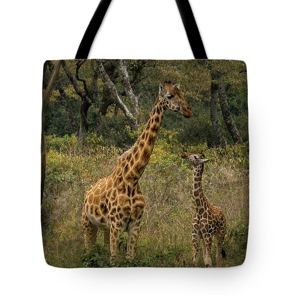 Africa Tote Bag featuring the photograph Looking Up to Mom by Laura Hedien
