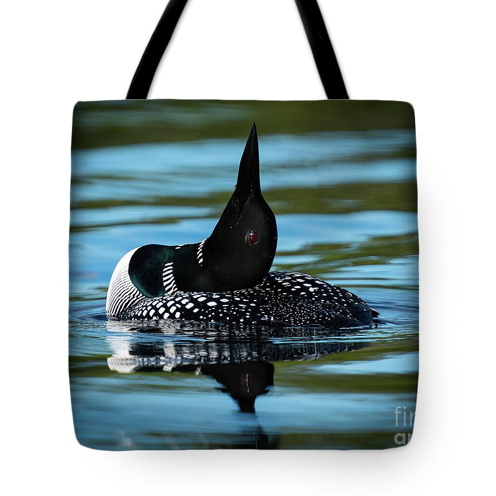 Loon Tote Bag featuring the photograph Loon on Point by Ron Long Ltd Photography