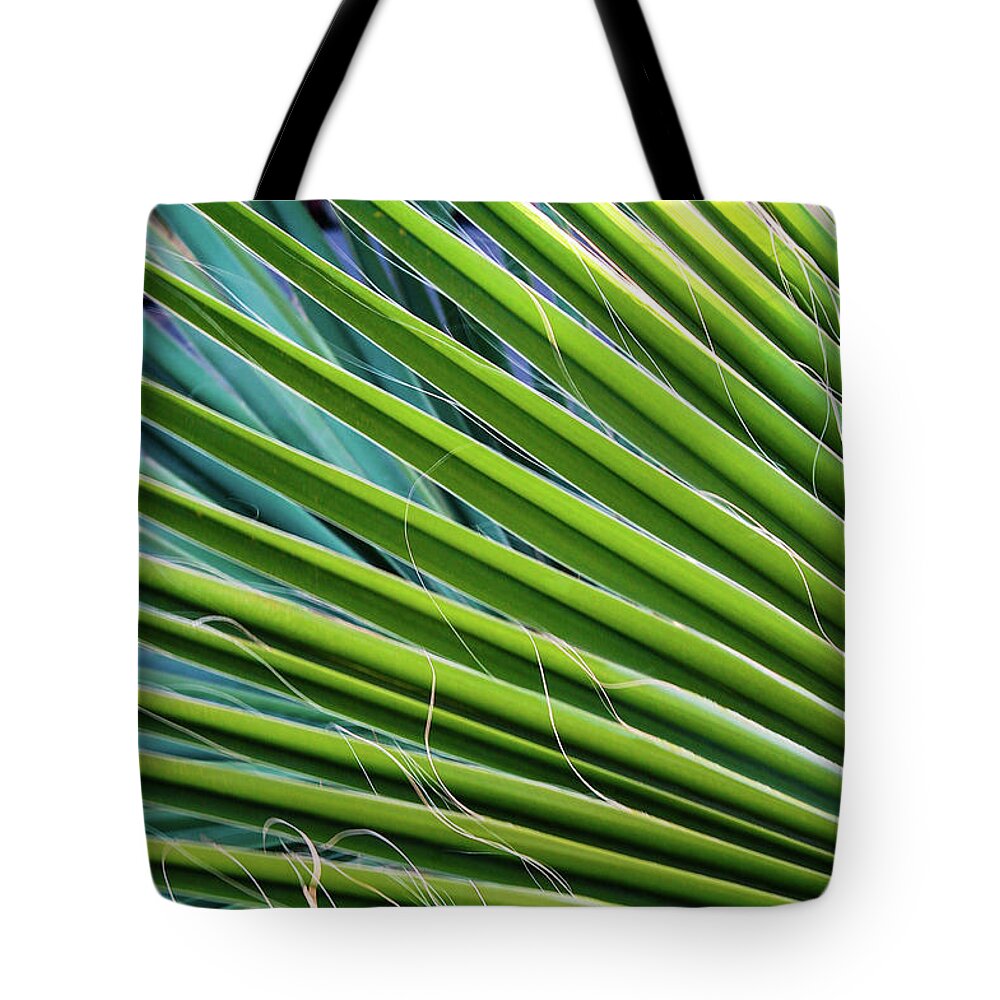 Palm Fronds Tote Bag featuring the photograph Loreto Fronds by William Scott Koenig