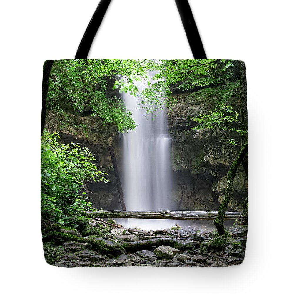 Cumberland Plateau Tote Bag featuring the photograph Lost Creek Falls 35 by Phil Perkins