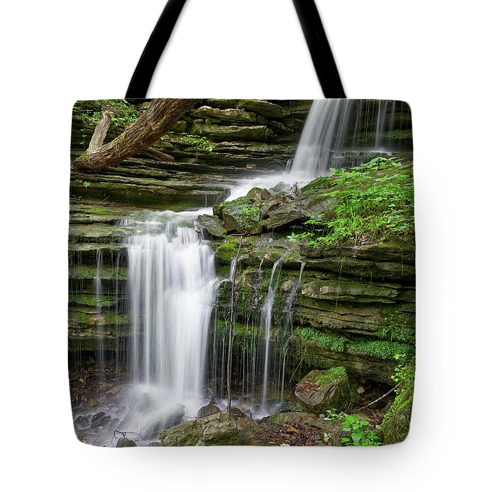 Cumberland Plateau Tote Bag featuring the painting Lost Creek Falls 40 by Phil Perkins