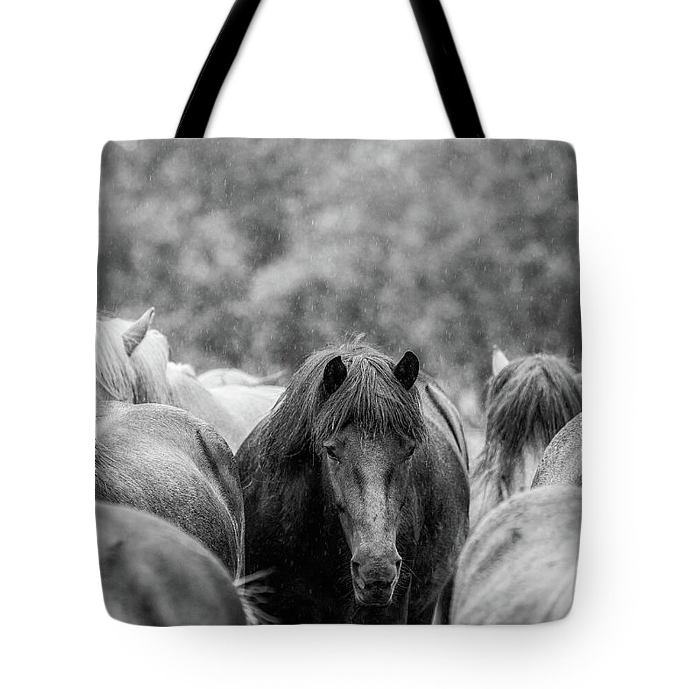 Photographs Tote Bag featuring the photograph Lost in a crowd II - Horse Art by Lisa Saint