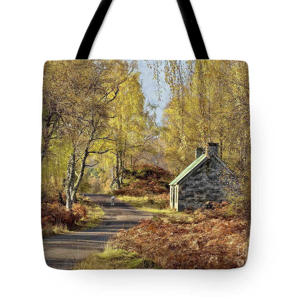 Lost Tote Bag featuring the photograph Lost In Allure by Tatiana Bogracheva