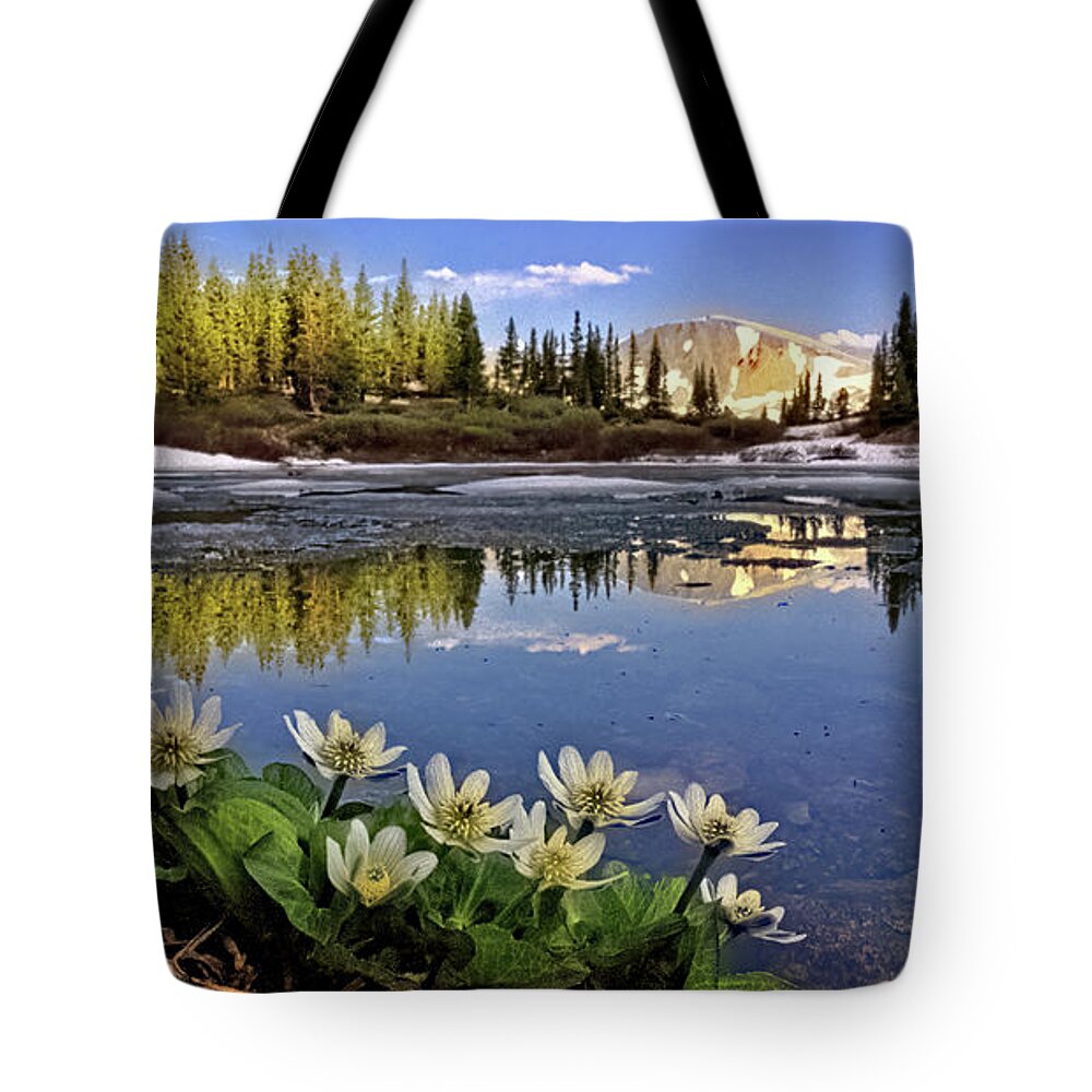 Lost Lake Tote Bag featuring the photograph Lost Lake by Bob Falcone