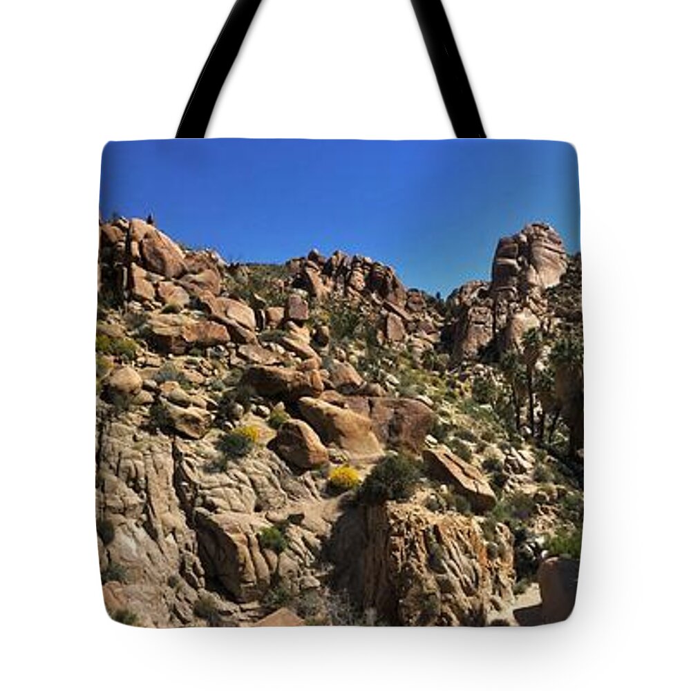 Lost Palms Oasis Tote Bag featuring the photograph Lost Palms Oasis by Brett Harvey
