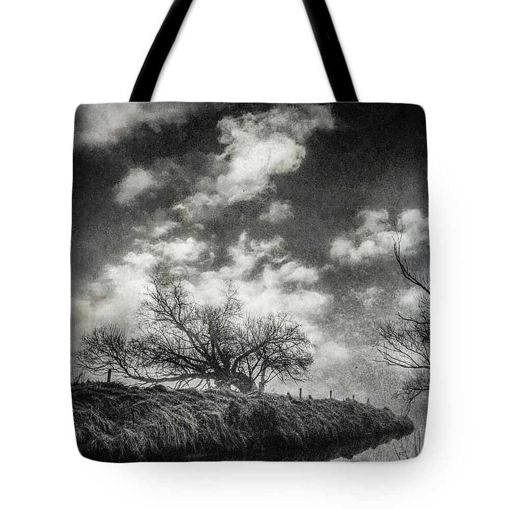 Tree Tote Bag featuring the photograph Lost Time by Roseanne Jones
