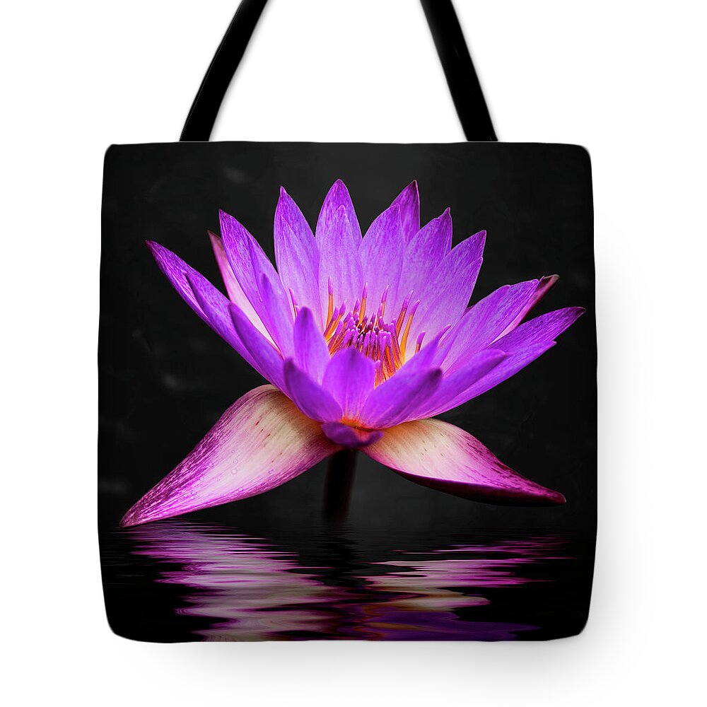 3scape Tote Bag featuring the photograph Lotus by Adam Romanowicz