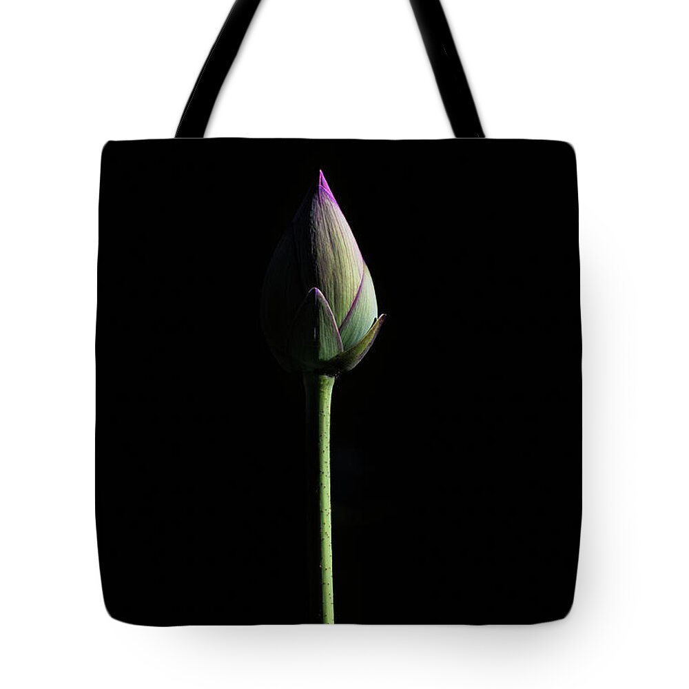 Lotus Tote Bag featuring the photograph Lotus Bud by Gary Geddes