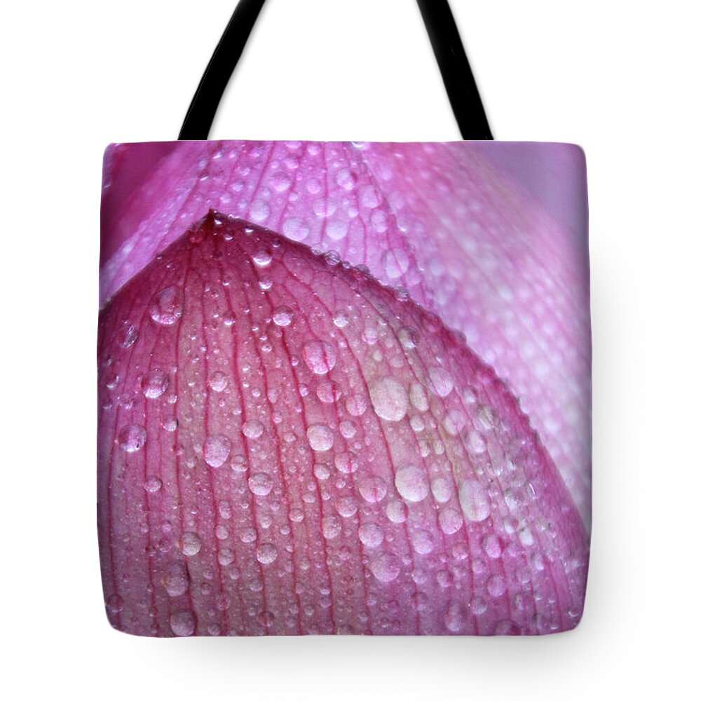 Pink Tote Bag featuring the photograph Lotus Drops by Carolyn Stagger Cokley