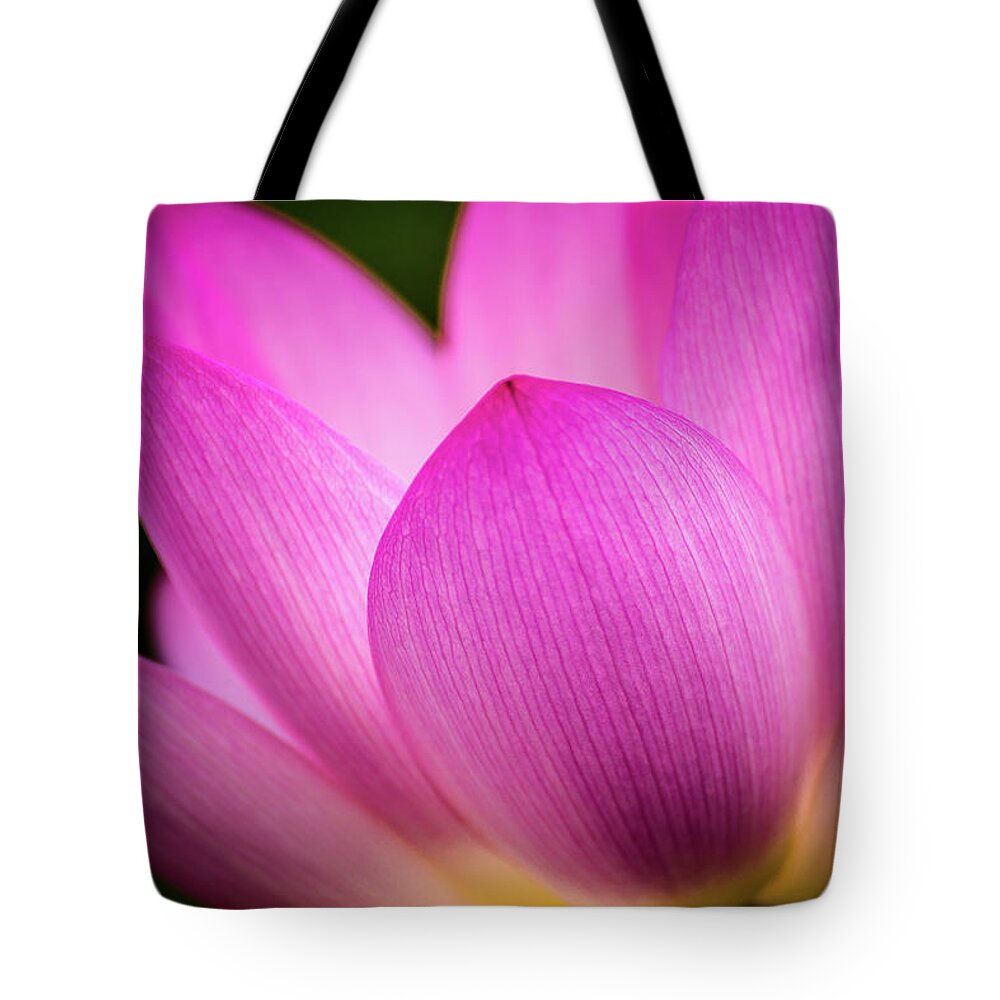 Kenilworth Gardens Tote Bag featuring the photograph Lotus petal by Robert Miller