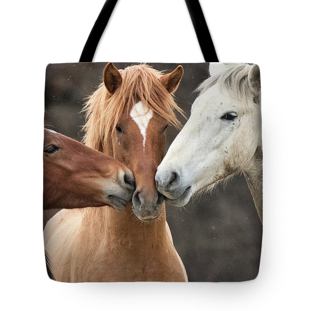 Stallions Tote Bag featuring the photograph Love Not War by Shannon Hastings