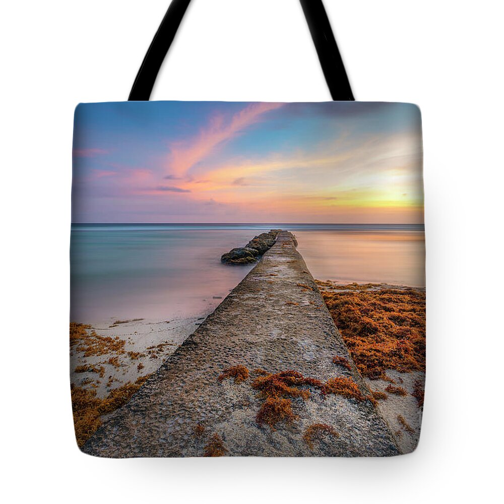 2019 Tote Bag featuring the photograph Love OF Sunset by Hugh Walker