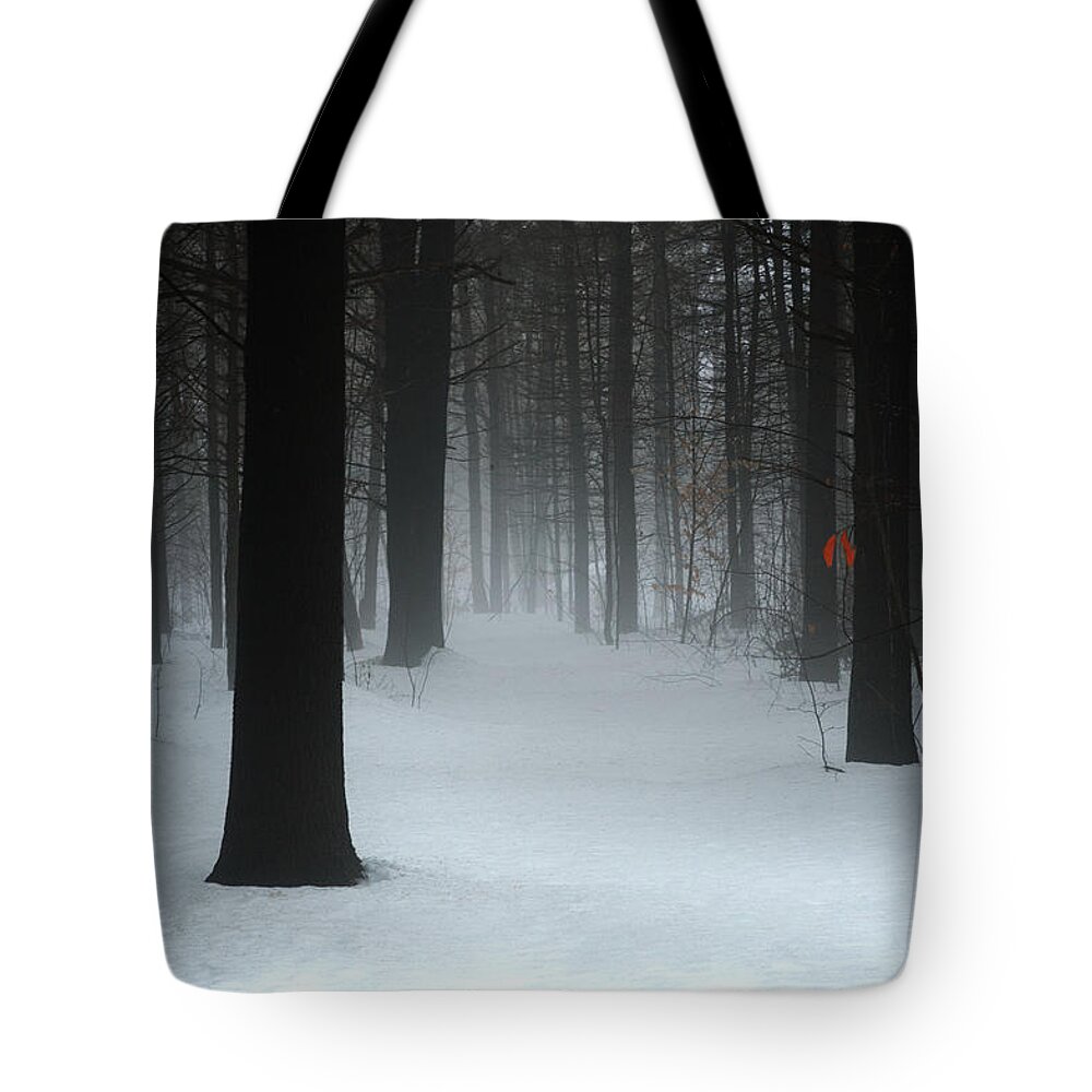 Woods Tote Bag featuring the pyrography Lovely, Dark and Deep by Moira Law
