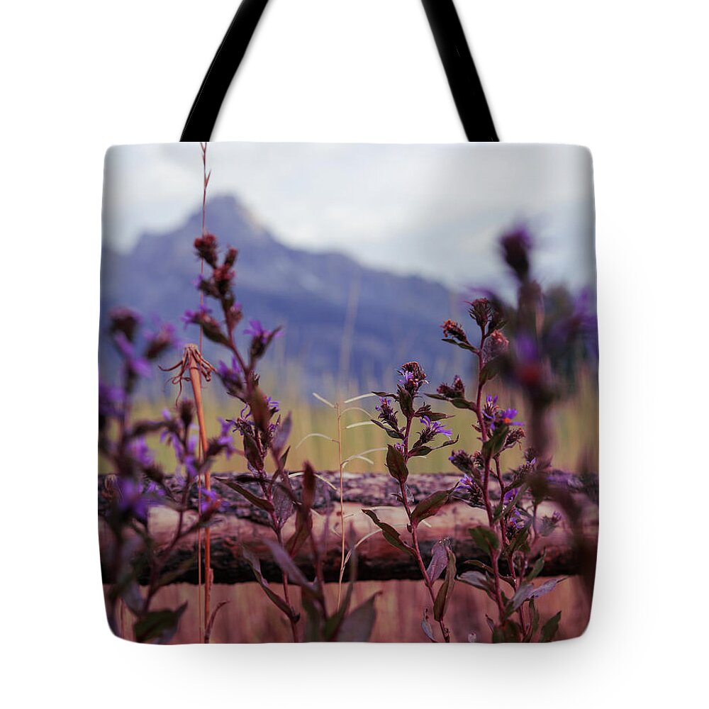Mountain Tote Bag featuring the photograph Lovely Lavender in Front by Go and Flow Photos