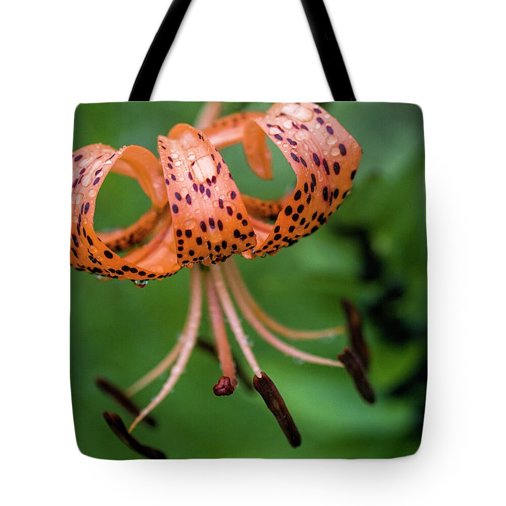 Tiger Lily Tote Bag featuring the photograph Lovely Tiger Lily by Kathy Clark