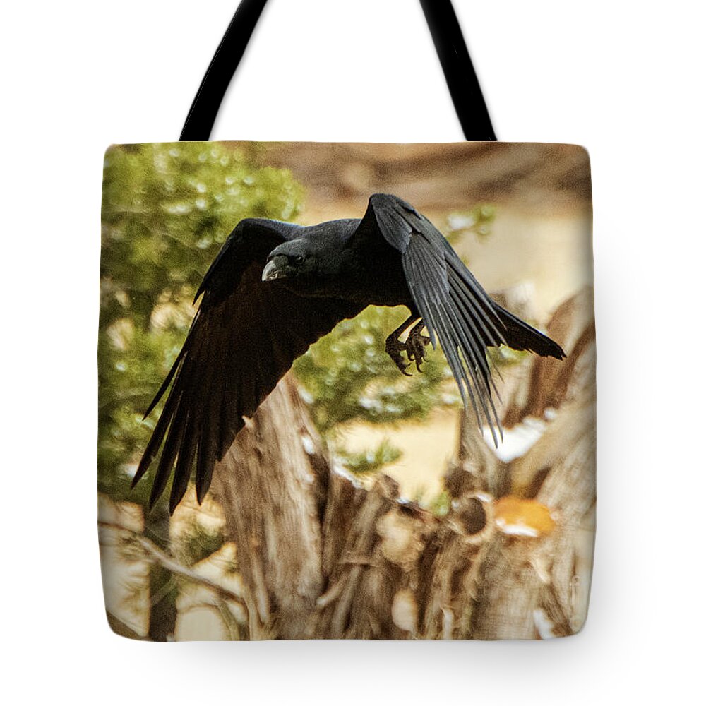 Natanson Tote Bag featuring the photograph Low and Slow by Steven Natanson