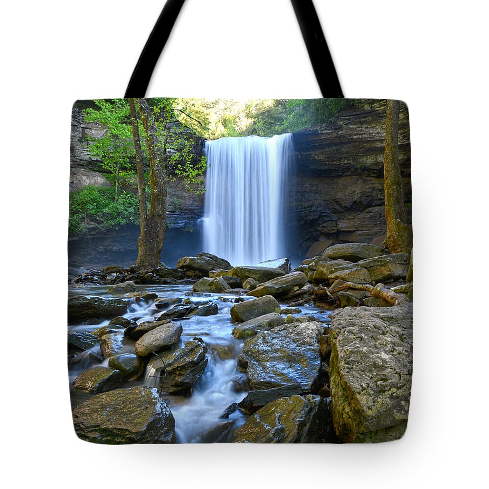 Greeter Falls Tote Bag featuring the photograph Lower Greeter Falls 8 by Phil Perkins