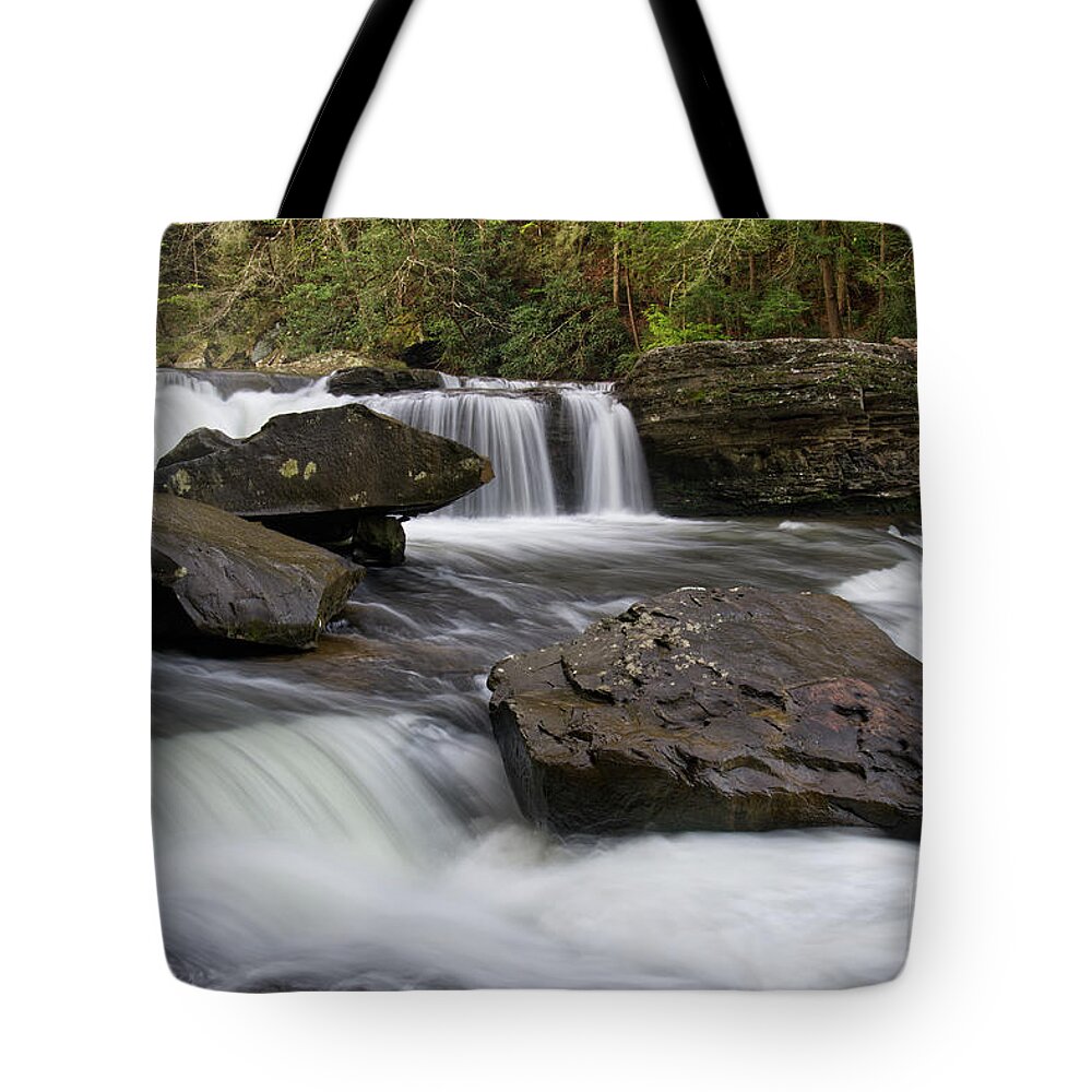 Waterfall Tote Bag featuring the photograph Lower Potter's Falls 22 by Phil Perkins