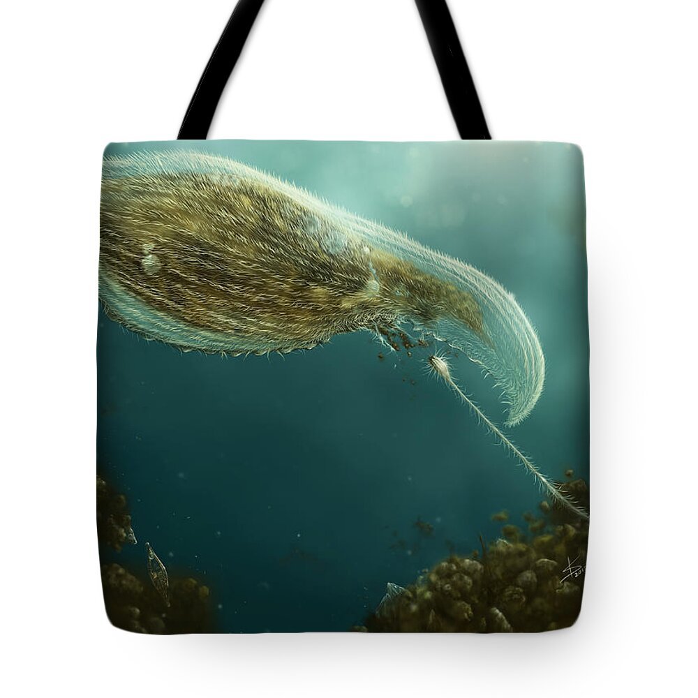 Protozoa Tote Bag featuring the digital art Loxophyllum attacked by Lacrymaria by Katelyn Solbakk