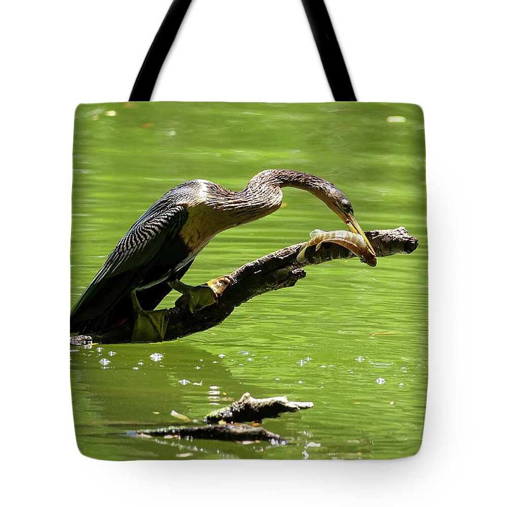 Wildlife Tote Bag featuring the photograph Lunch for One by John Kirkland