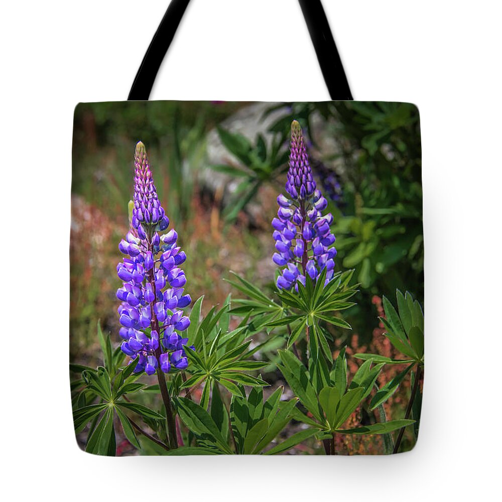 Boorhbay Harbor Tote Bag featuring the photograph Lupine by Guy Whiteley