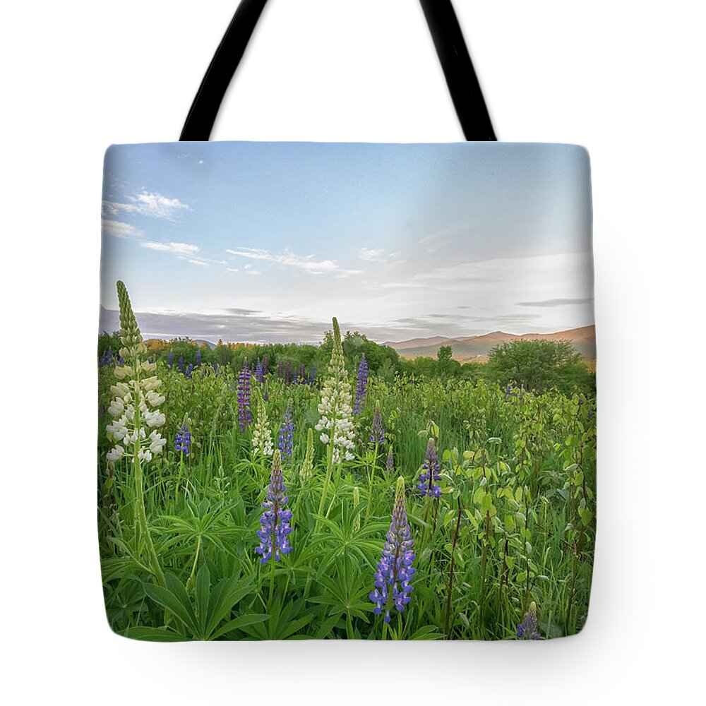 Lupines Tote Bag featuring the photograph Lupines and the White Mountains by Bob Doucette