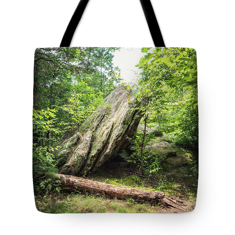 Landscape Tote Bag featuring the photograph Lusk Creek Boulder by Grant Twiss