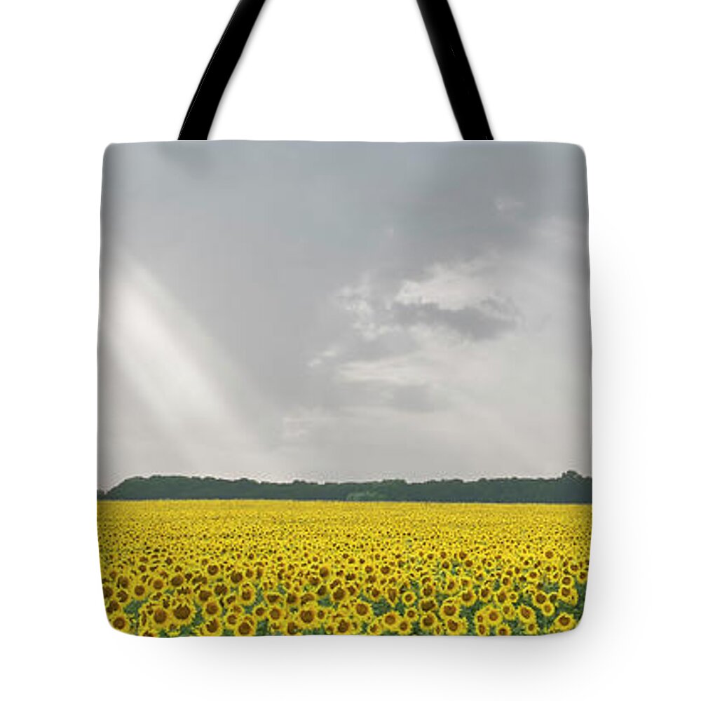 Sky Tote Bag featuring the photograph Lux Caelestis by Andrii Maykovskyi