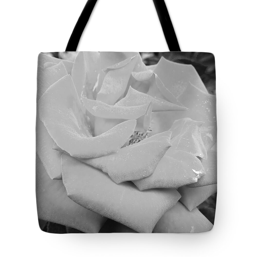 Rose Tote Bag featuring the photograph Lux Rose in Black and White by Michael Oceanofwisdom Bidwell