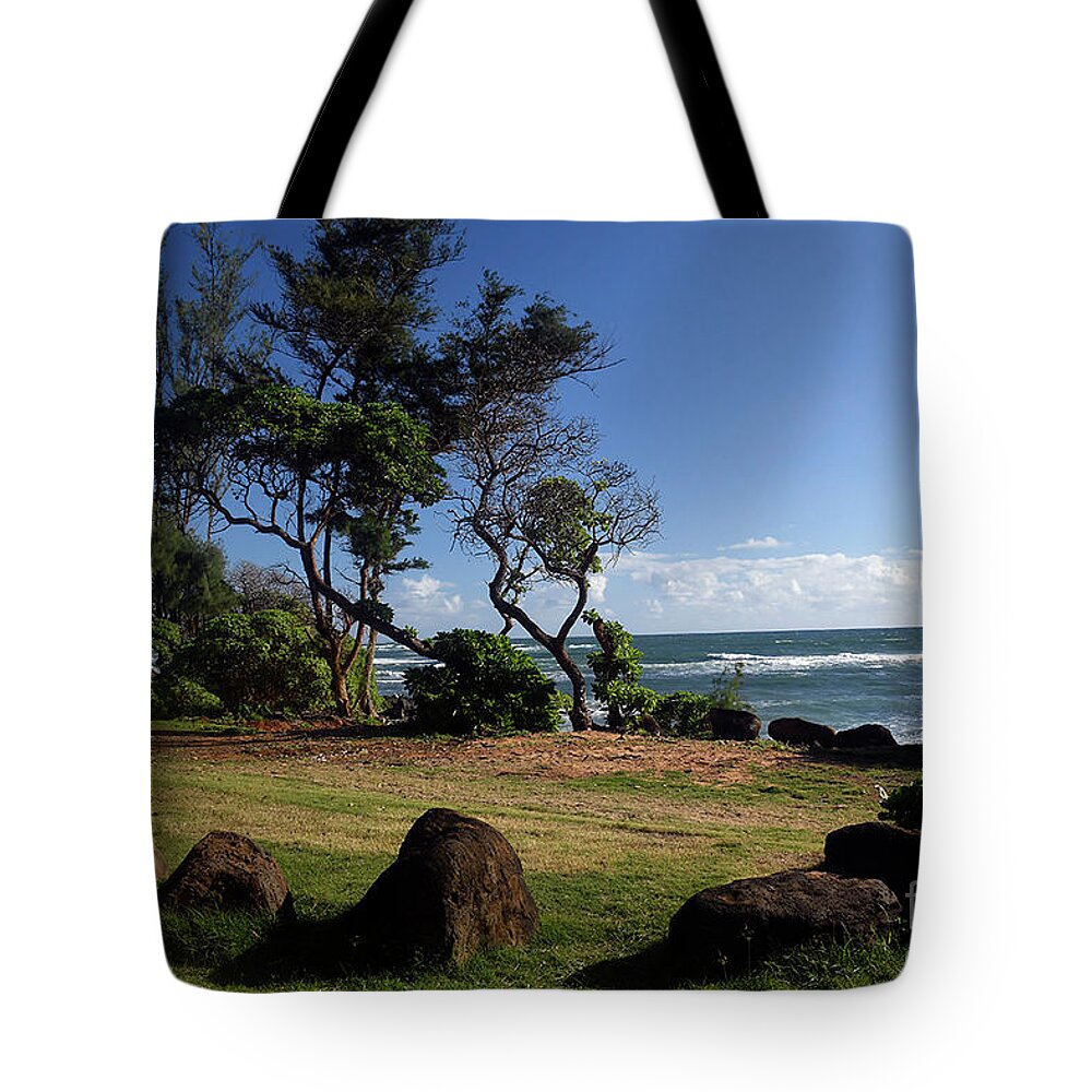 Lydgate Beach Park Tote Bag featuring the photograph Lydgate Beach Park by Cindy Murphy