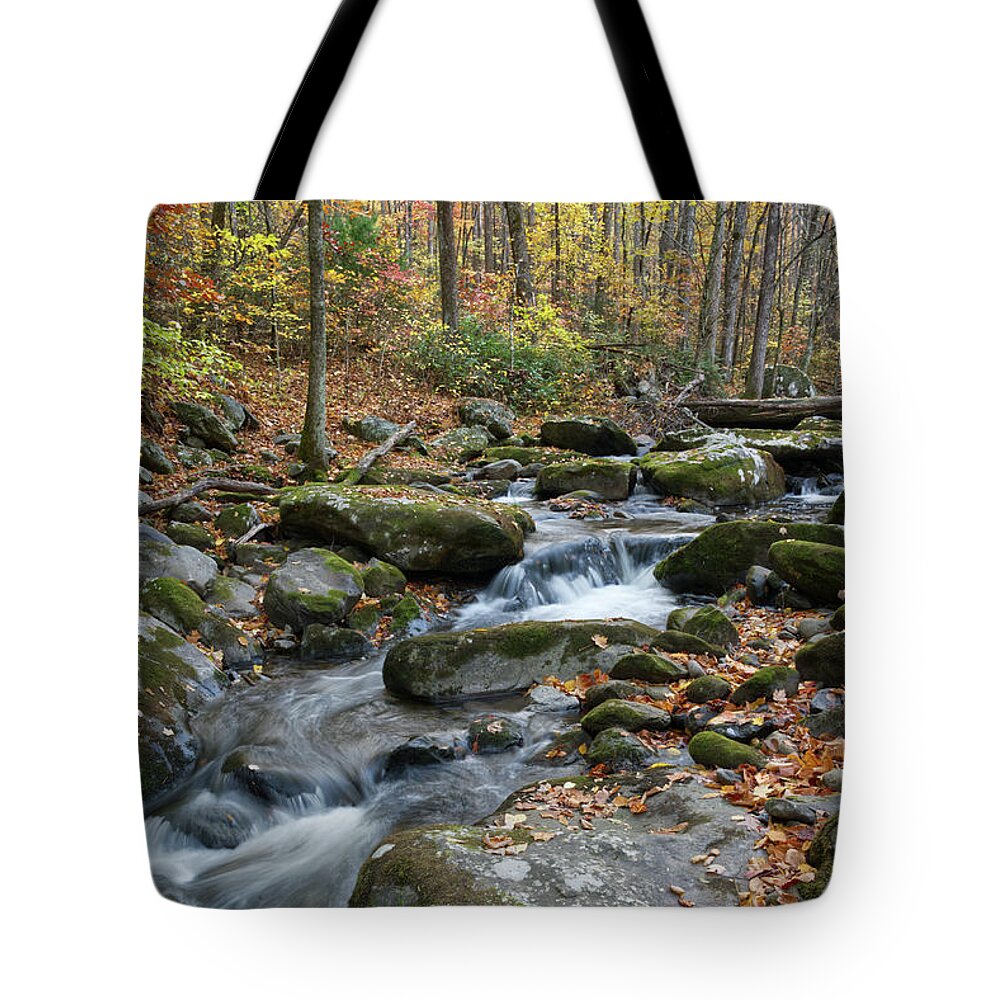 Middle Prong Trail Tote Bag featuring the photograph Lynn Camp Prong 14 by Phil Perkins