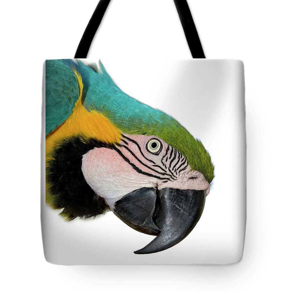 Parrot Tote Bag featuring the photograph Parrot by Tanya G Burnett