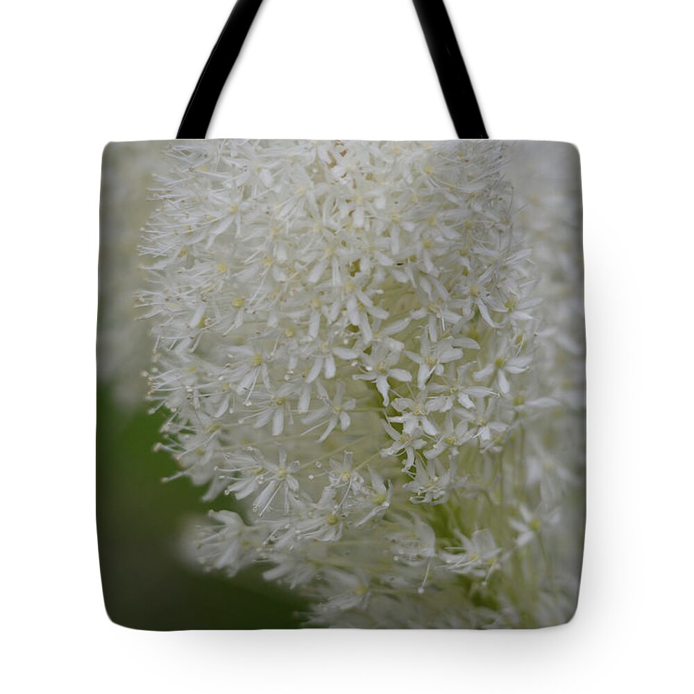 Bear Grass Tote Bag featuring the photograph Macro- Bear Grass by Whispering Peaks Photography