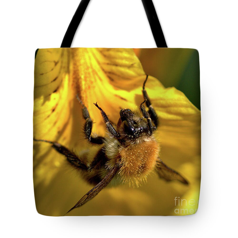Nature Tote Bag featuring the photograph Macro of Bee on Iris Bloom by Stephen Melia