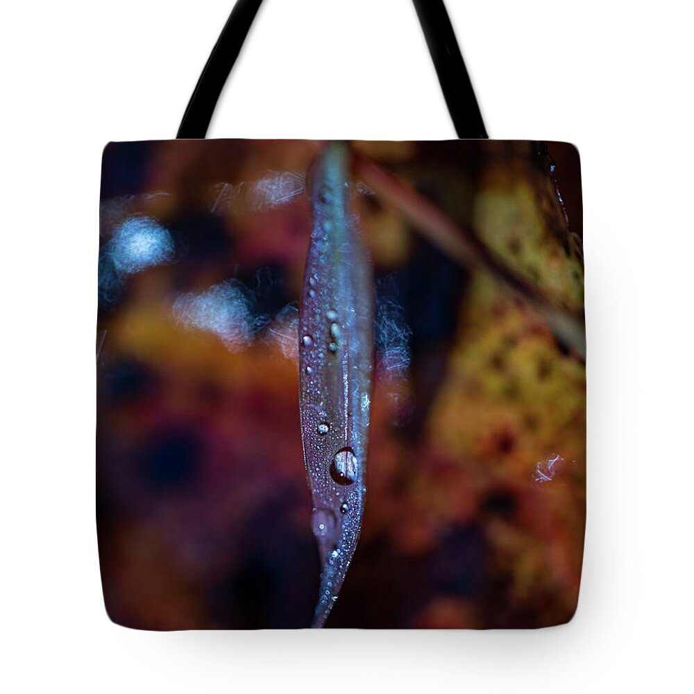 Fall Tote Bag featuring the photograph Macro Photography - Autumn Water Drops by Amelia Pearn