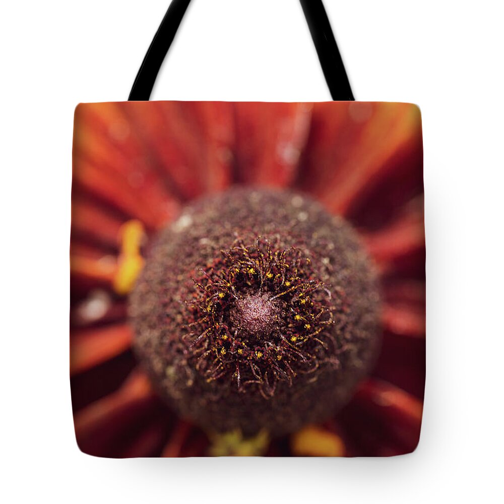 Arboretum Tote Bag featuring the photograph Macro Photography - Black-Eyed Susan by Amelia Pearn