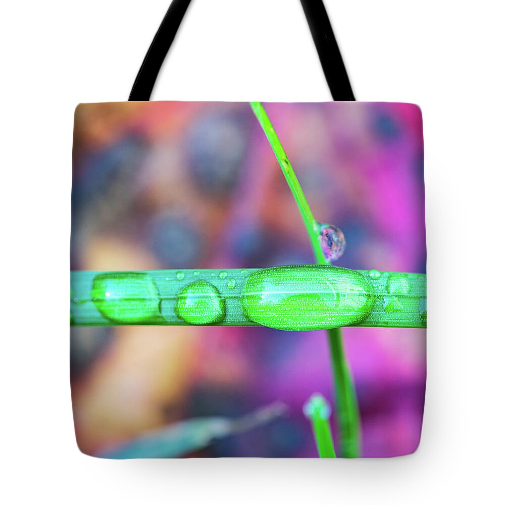 Grass Tote Bag featuring the photograph Macro Photography - Water Drops on Grass by Amelia Pearn